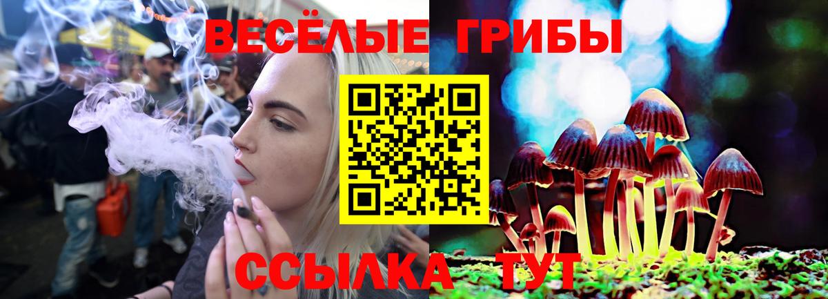 Псилоцибиновые грибы мухоморы  Вход с VPN  Минеральные Воды 
